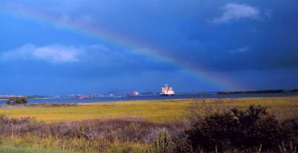 tidal marsh photo with rainbow